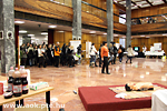 IMG_8351.jpg