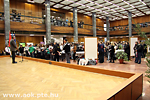 IMG_8397.jpg