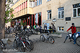 IMG_0015.jpg