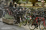 IMG_5787.jpg