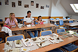 DSC_0195.jpg