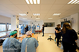 HHHG9854.jpg