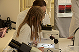 IMG_5850.jpg