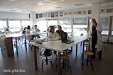 IMG_5955.jpg