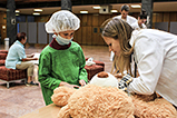IMG_6476.jpg