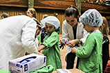IMG_6523.jpg