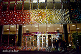 DSC_0176.jpg