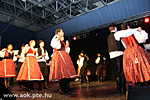IMG_0276.jpg
