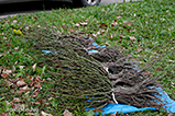 DSCF0068.jpg
