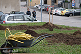 DSCF0070.jpg
