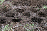 DSCF0095.jpg