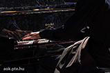 DSCF0931.jpg