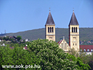 IMG_8959.jpg