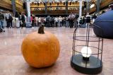 dscf1623.jpg