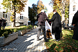 DSCF1683.jpg