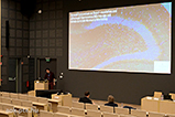 DSCF6343.jpg