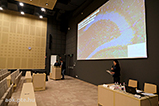 DSCF6527.jpg