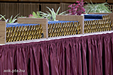 DSCF0091.jpg