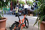 DSCF6332.jpg