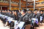 IMG_2653.jpg