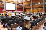 IMG_2665.jpg