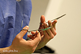 DSCF5670.jpg