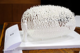 DSCF7188.jpg