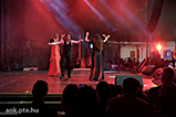 DSCF10455.jpg