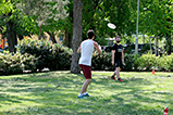 DSCF2342.jpg