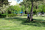 DSCF2367.jpg