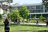 DSCF2384.jpg