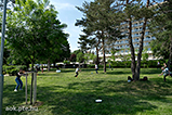 DSCF2457.jpg