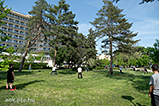 DSCF2458.jpg