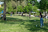 DSCF2463.jpg