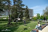 DSCF2464.jpg