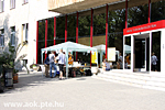 IMG_4681.jpg