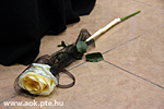 IMG_5941.jpg