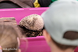 DSCF7514.jpg