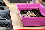 DSCF7532.jpg