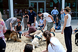 DSCF3026.jpg