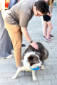 dsc_0996.jpg