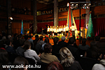 IMG_6372.jpg