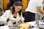 IMG_6815.jpg
