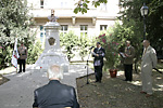 IMG_4036.jpg