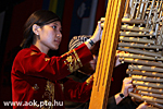 IMG_7943.jpg
