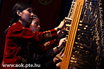 IMG_7948.jpg