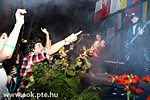 IMG_8135.jpg
