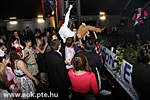 IMG_8153.jpg