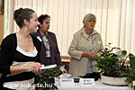 IMG_4686.jpg