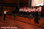 IMG_6923.jpg